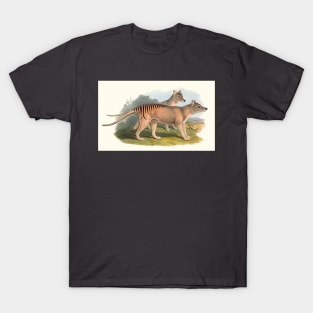 Animals Of Australia The Tasmanian Tiger Or Thylacine T-Shirt